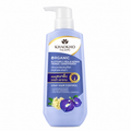 Khaokho Talaypu Organic Butterfly Pea and Henna Herbal Conditioner 450 ml